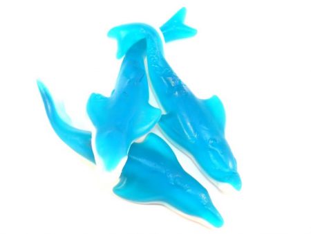 giant dolphin jelly sweets